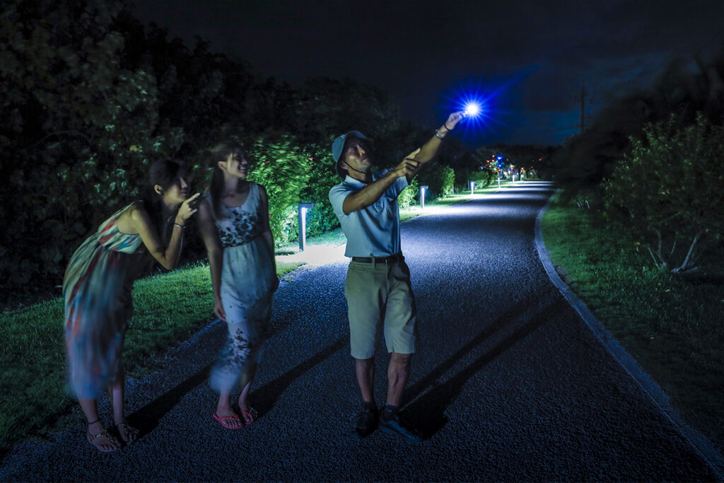 【はいむるぶしが贈る夏の特別体験|小浜島の自然と癒しに包まれるフリープログラム】 2 sub2 8
