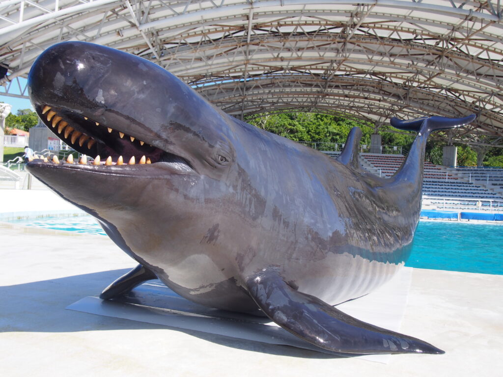 イルカのしぶきで全身びしょ濡れ!?沖縄美ら海水族館「Summer Show」がスタート 5 sub1 8