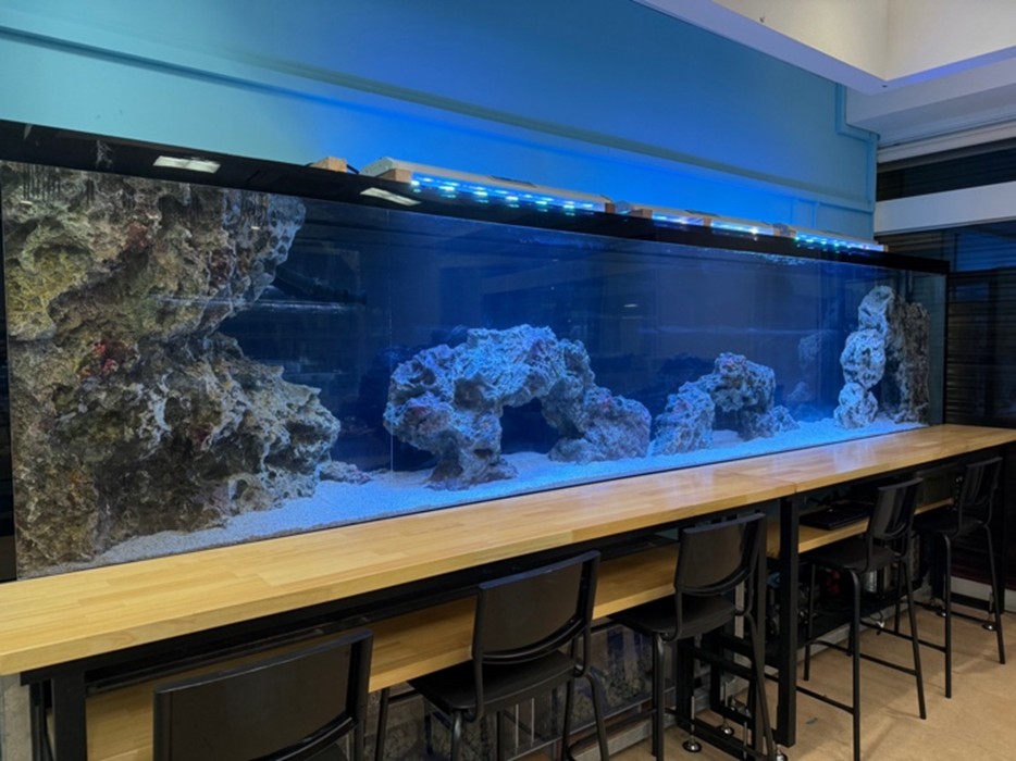 宮古島“初”の学べる水族館『KAIKENのチイサナ水族館』が9/12オープン。見て、ふれて、考える海の教室 5 sub2 14