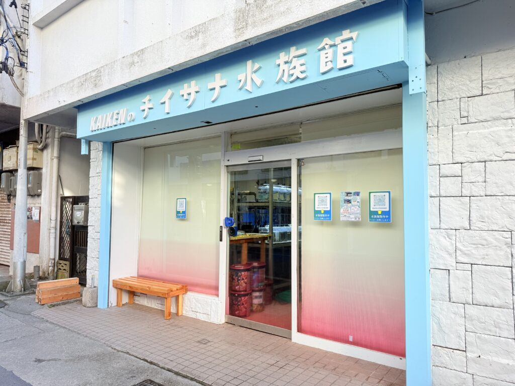 宮古島“初”の学べる水族館『KAIKENのチイサナ水族館』が9/12オープン。見て、ふれて、考える海の教室 3 sub6 6