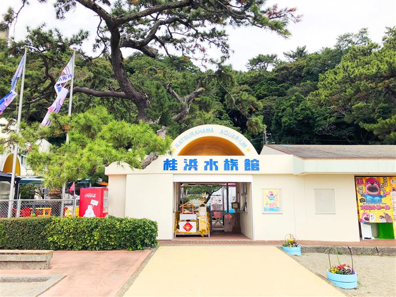 宮古島“初”の学べる水族館『KAIKENのチイサナ水族館』が9/12オープン。見て、ふれて、考える海の教室 9 sub7 5
