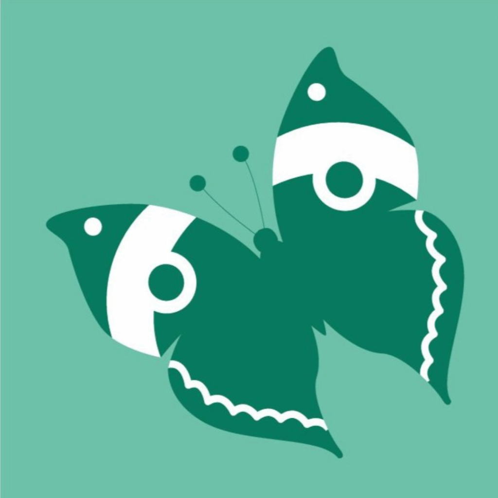 ジンベエジェット3号機「結ジンベエ」、今年度就航へ 2 sub1 6