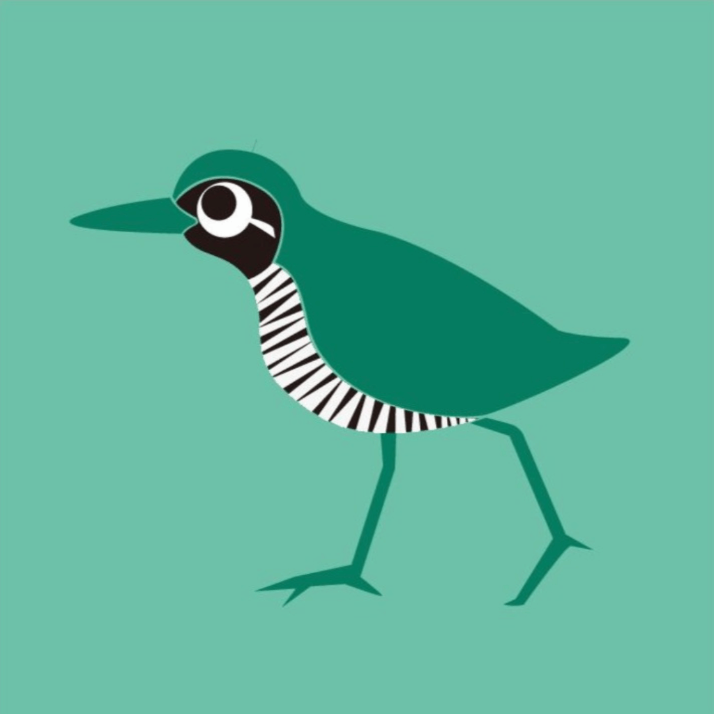 ジンベエジェット3号機「結ジンベエ」、今年度就航へ 3 sub2 6