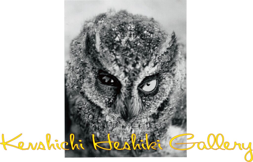 アートと出会う4日間「ART FAIR NAHA -The First Gathering-」ホテル アンテルーム那覇で初開催 4 sub1 12