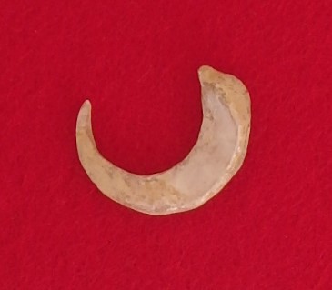 サキタリ洞遺跡で発掘見学会開催 世界最古の釣り針にも注目 3 sub2 10