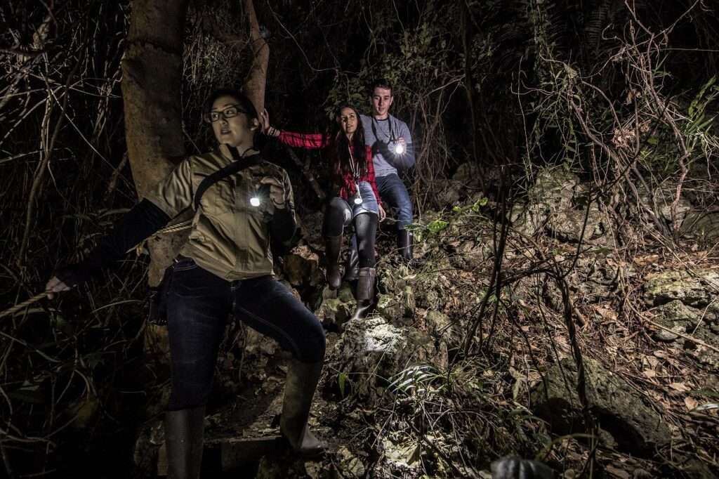 沖縄南部の冬夜に本物ジャングル探検ツアー開催 1 sub1 21