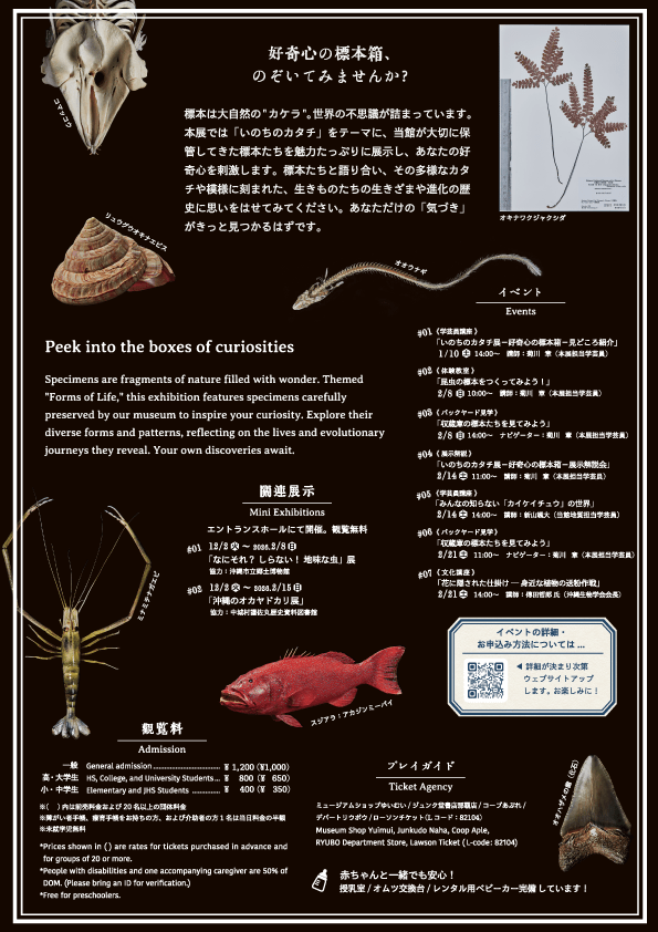 沖縄おきみゅーで「いのちのカタチ展」開催 好奇心くすぐる標本の世界 2 sub1 9