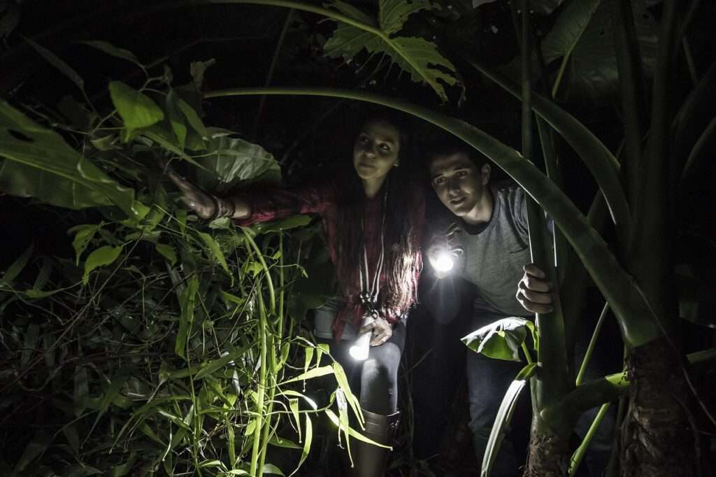 沖縄南部の冬夜に本物ジャングル探検ツアー開催 3 sub3 20