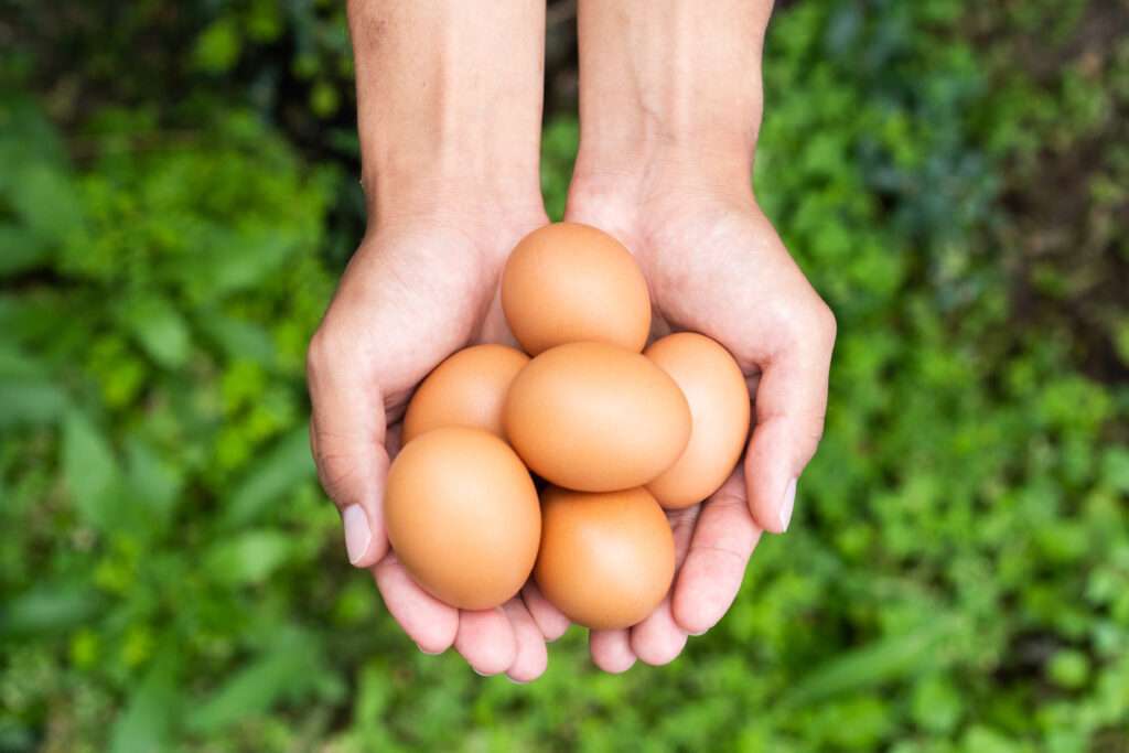 スーパーマリオ&ドンキーコング限定パッケージの沖縄土産菓子3商品 6 sub9 1