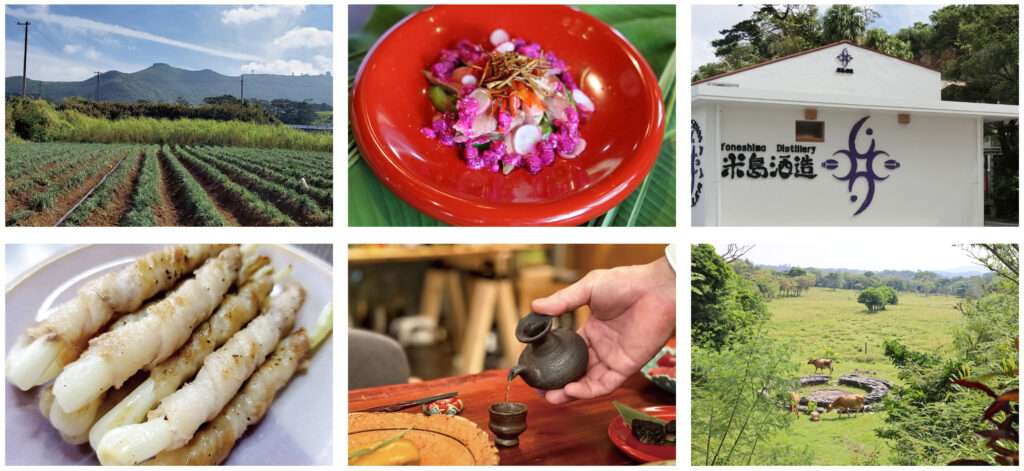 沖縄美食体験モニターツアー「いのちよろこぶ沖縄美食旅」開催 2 sub1 35