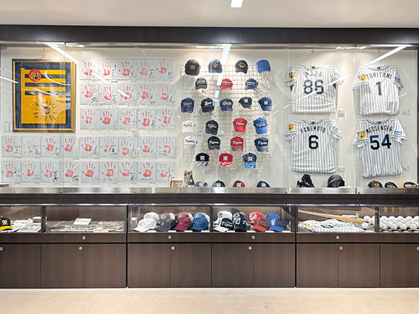 阪神タイガース宜野座キャンプ開催へ 地元の食や文化で村の魅力を発信 5 sub3 4