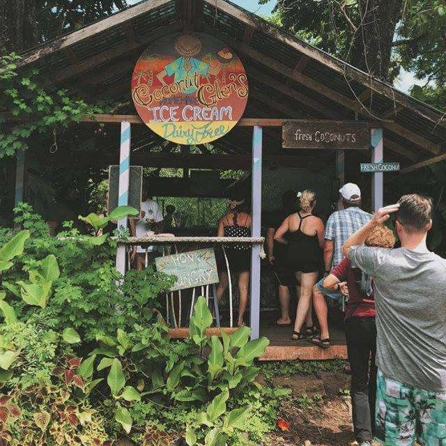 ハワイ発「ココナッツグレン」春限定“桜”フレーバー発売 沖縄でも展開 4 sub3 45