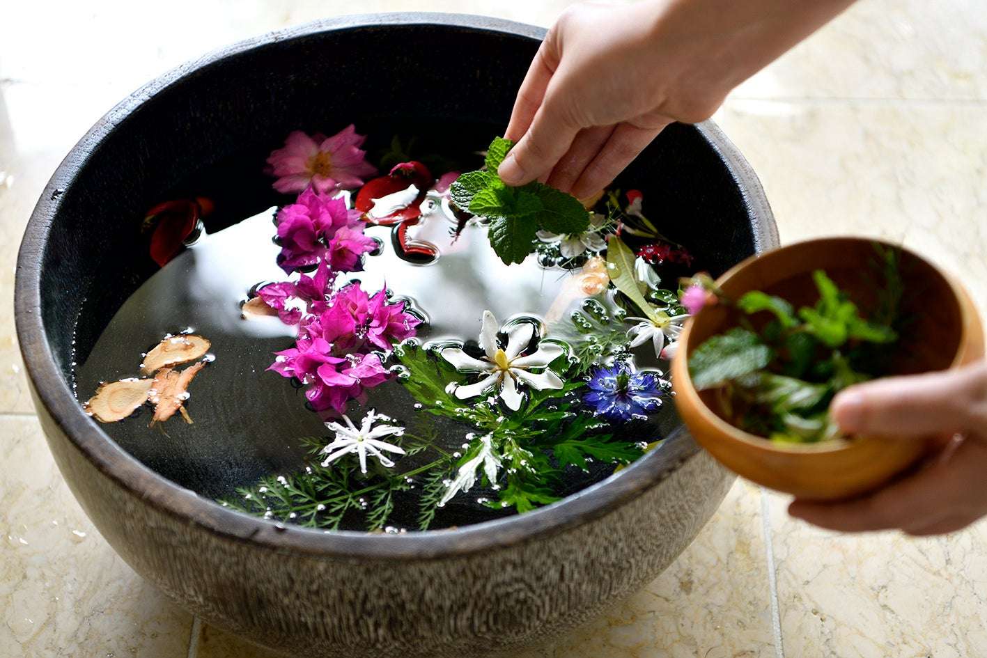 アンドレア氏監修による色鮮やかなヴィーガン料理の数々