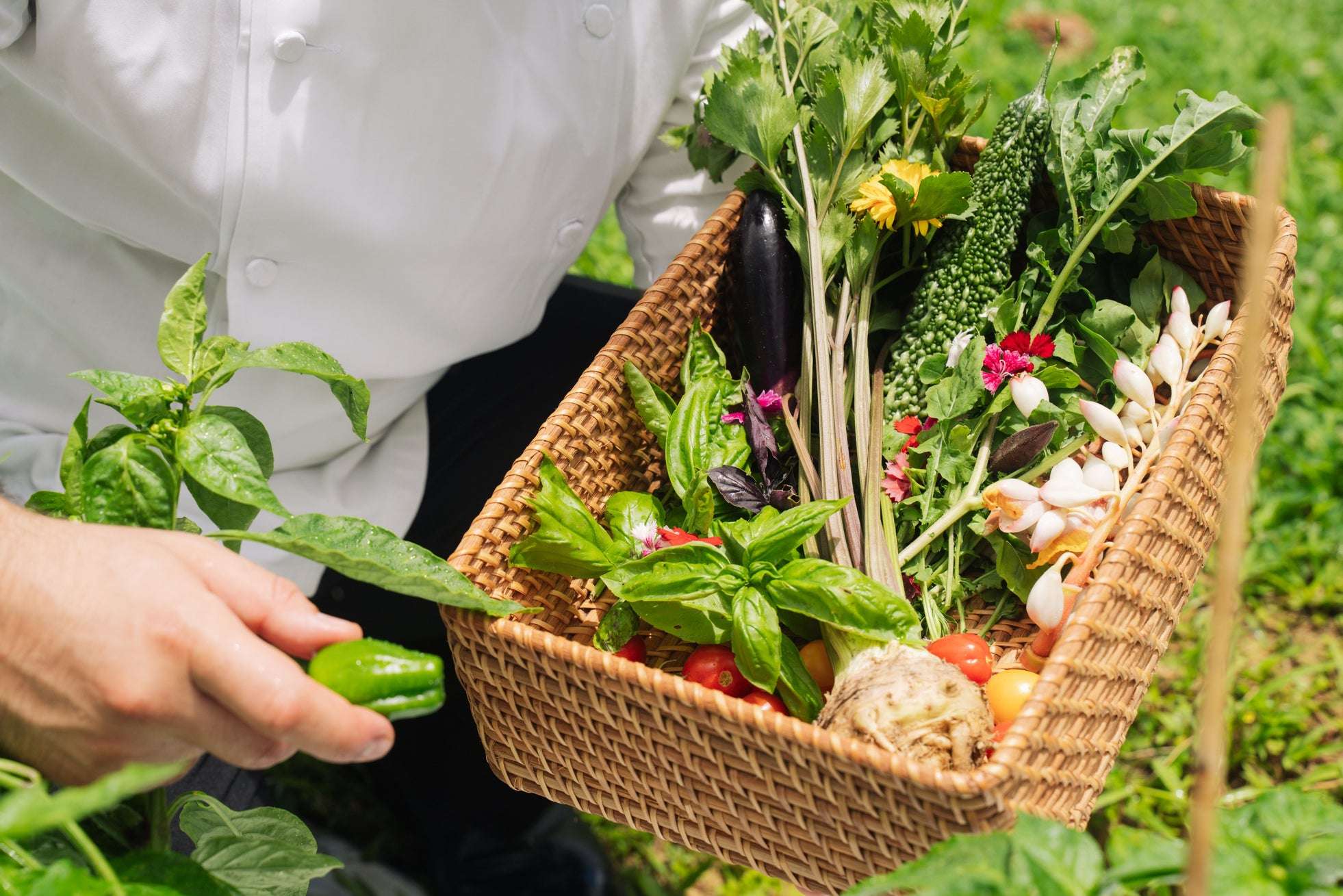 自然農法で育てられた野菜やハーブが並ぶ自家農園「Our Farm」