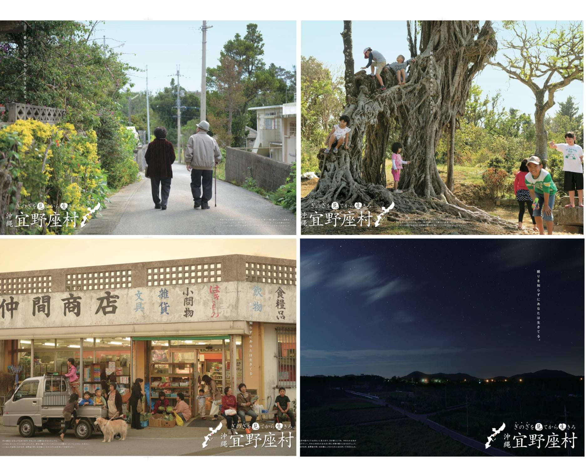 宜野座村の自然を満喫するサイクリング体験の様子