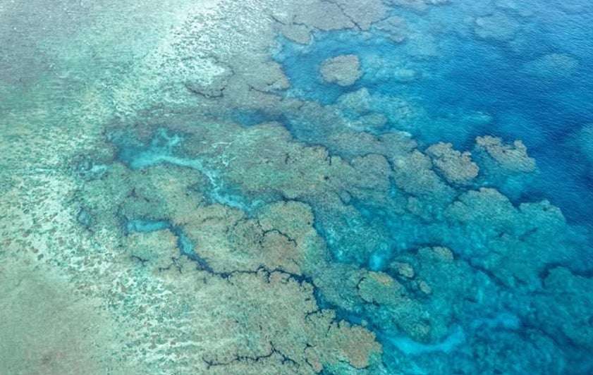 沖縄の自然と一体になれるドームテントでの滞在体験