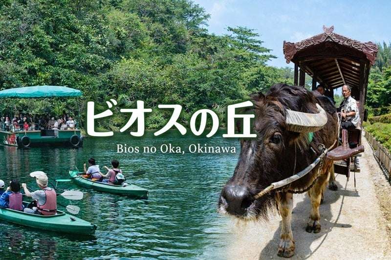 自然豊かな園内を巡るビオスの丘の風景