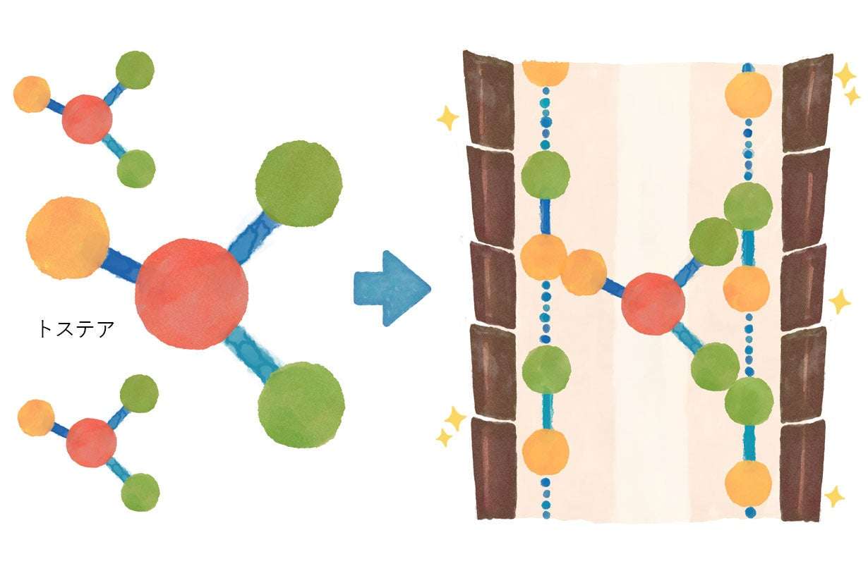 美しく健やかな髪へ導くちゅららのヘアケアラインナップ