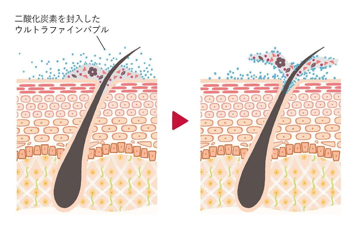沖縄産の天然素材ゲットウとヘアケア成分の解説図